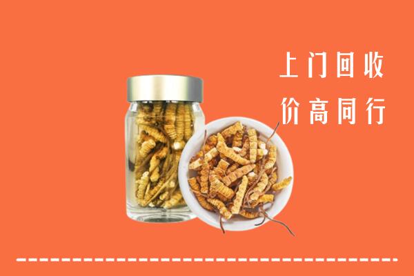 北京密云区回收冬虫夏草